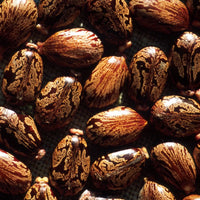 Castor-oil (Cold-pressed)